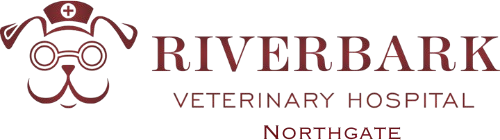 Riverbark Veterinary Hospital Home